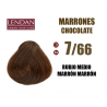 lendan-activia-plant-tinte-7/66-rubio-medio-marron-marron