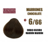 lendan-activia-plant-tinte-6/66-rubio-oscuro-marron-marron
